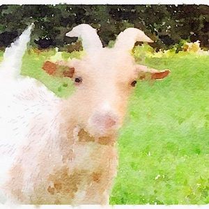 Meet your Posher, Christy